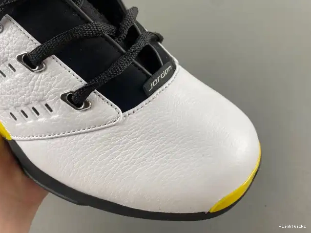 FJ0395-100 Low 17 Lightning Jordan Air 0423